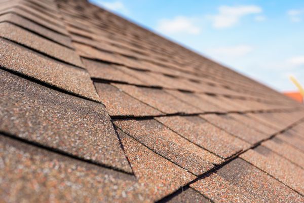 Professional Patio Roof Installation